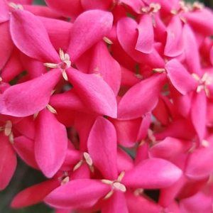 Meet your Posher, Sally lehane